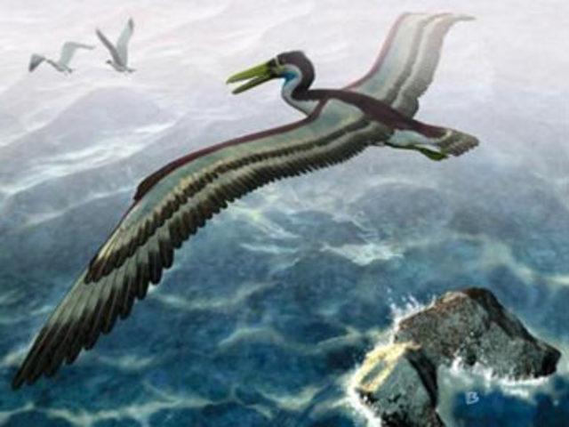 U&Ccedil;AN DİNOZORLAR 2