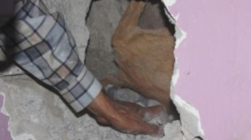 Ağrı&rsquo;da K&ouml;pek Kurtarma Operasyonu