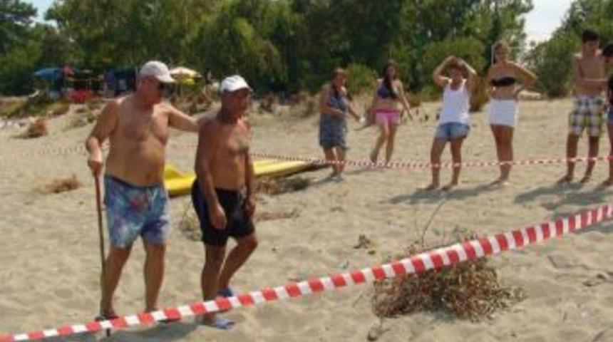 Caretta Caretta Yuvaları Koruma Altına Alındı