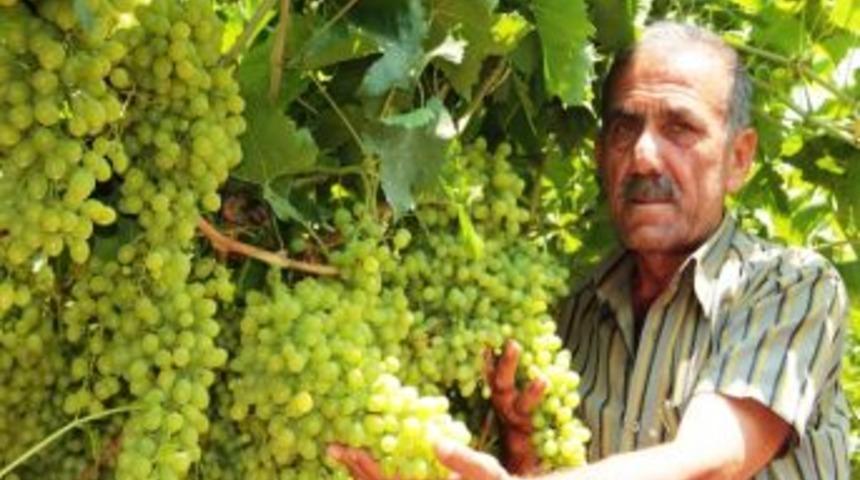 Sarıg&ouml;l Ziraat Odası Başkanı Ali İhsan &Uuml;lgen: