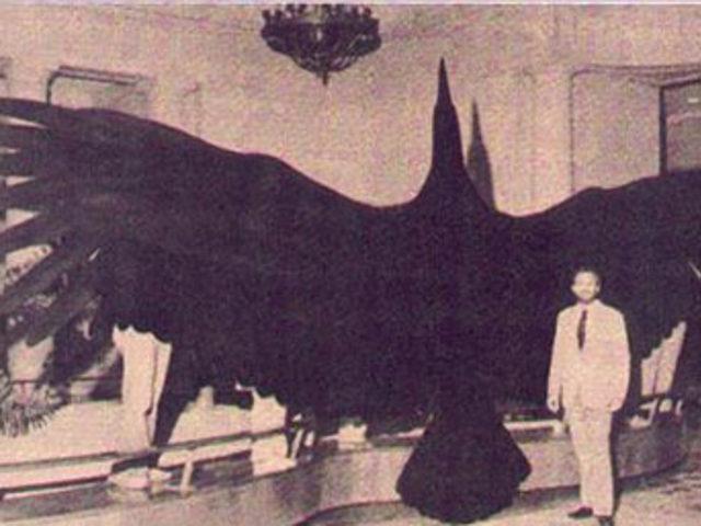 U&Ccedil;AN DİNOZORLAR 4