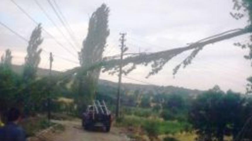 Hisarcık Şeyhler&rsquo;de Etkili Yağış Enerji Hatlarında Ve Ekili Alanlarda Zarara Yol A&ccedil;tı