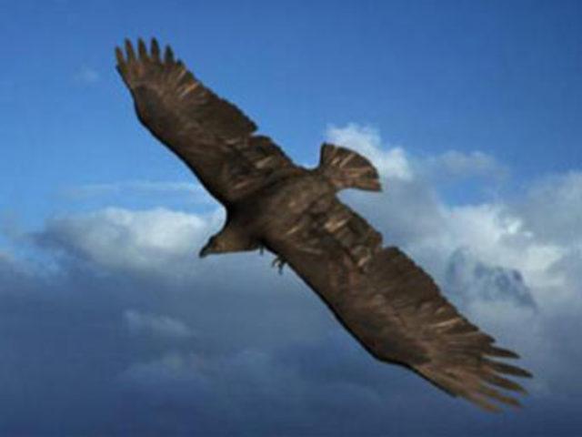 U&Ccedil;AN DİNOZORLAR 5