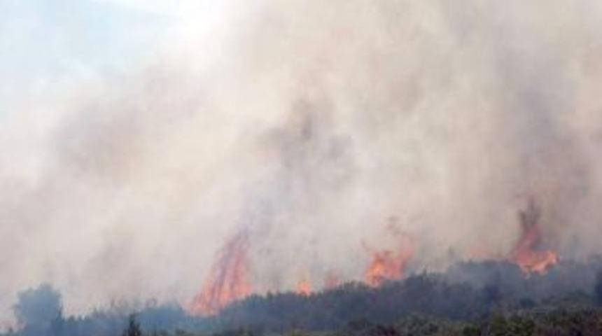 Anında M&uuml;dahale Faciayı &Ouml;nledi