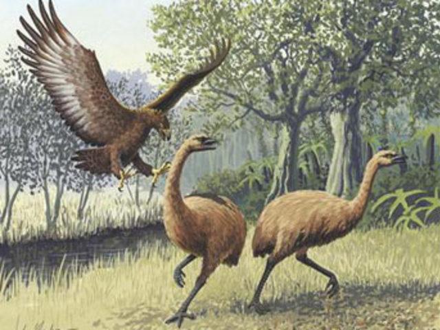 U&Ccedil;AN DİNOZORLAR 6