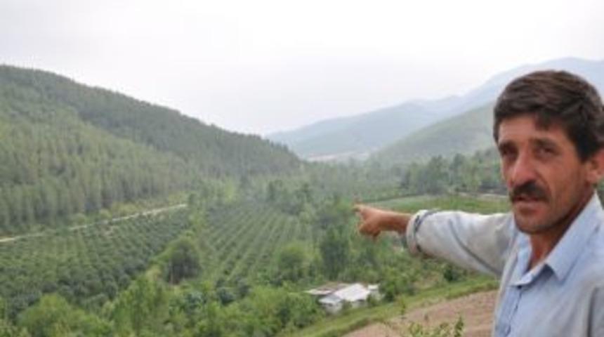 Köylüler İstimlak Edilen Yerdeki Ağaçların Değerini İstiyor