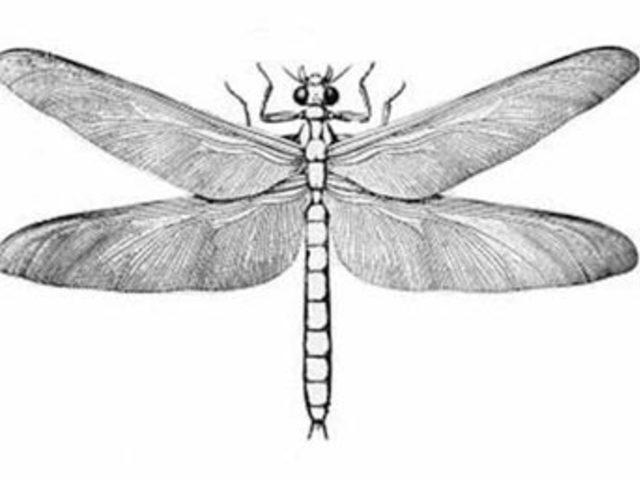 U&Ccedil;AN DİNOZORLAR 7