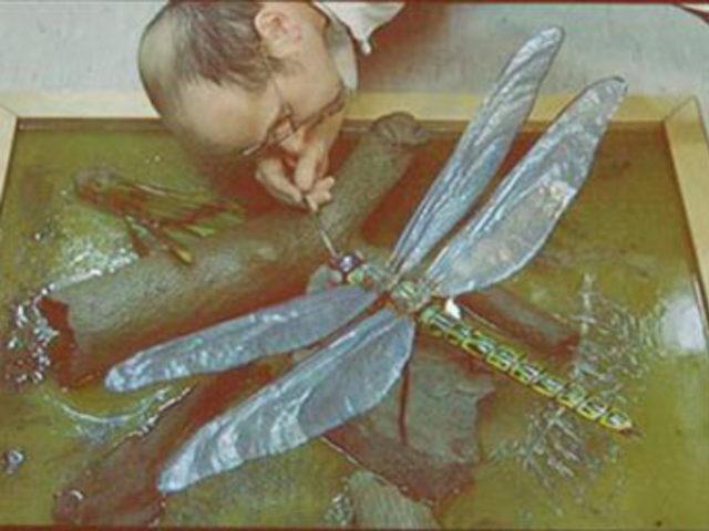 U&Ccedil;AN DİNOZORLAR 8