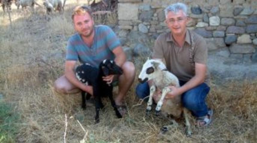 Burhaniye&rsquo;de Yaz Kuzuları