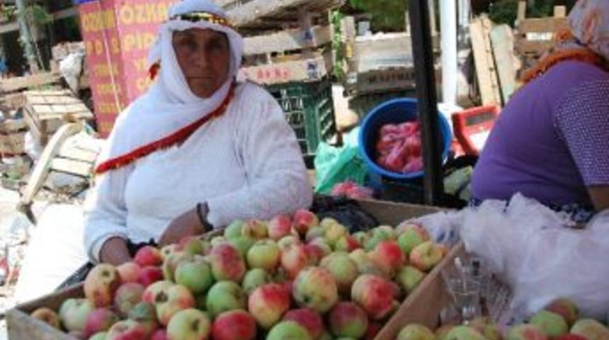 Elma &Uuml;reticisini G&uuml;ld&uuml;r&uuml;yor