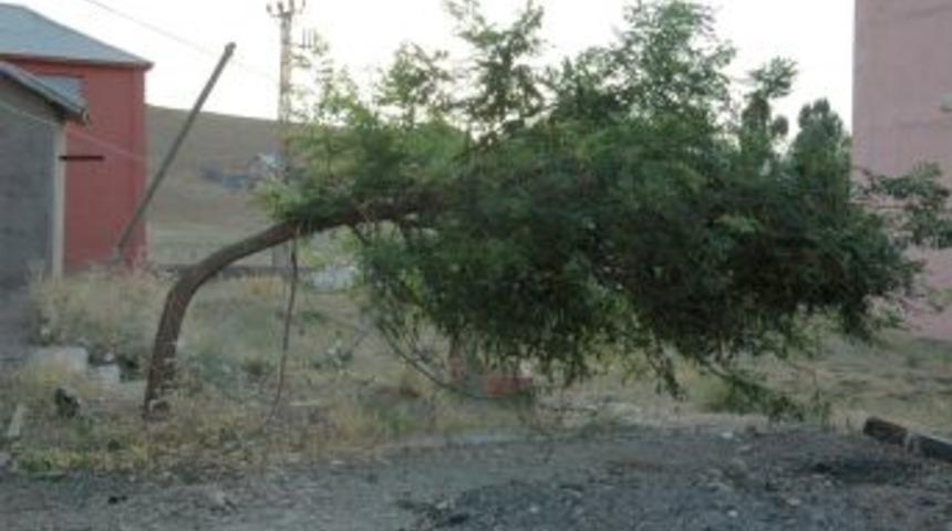 Muş&rsquo;ta Fırtına &Ccedil;atıları U&ccedil;urdu, Tarlalara Zarar Verdi