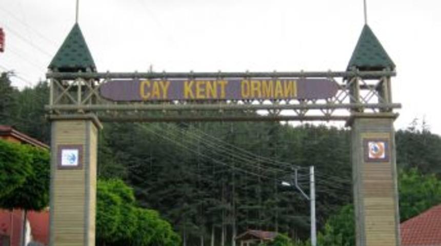 Şehrin G&uuml;r&uuml;lt&uuml;s&uuml;nden Bunalanlar Mesirelik Alanlara Akın Ediyor