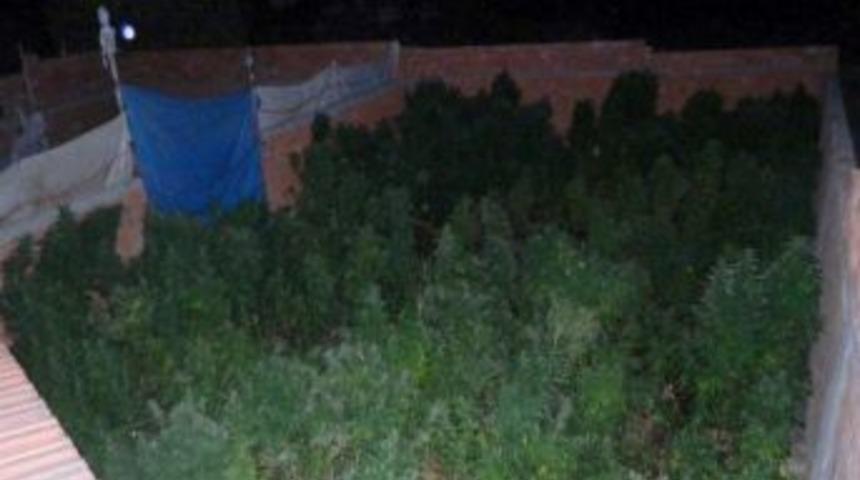 '13,5 Kilo Hint Kenevirini Kendim İ&ccedil;ecektim' S&ouml;z&uuml; Polisleri Şaşırttı