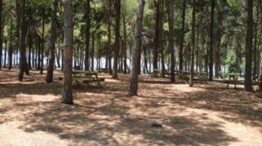 Urla Ada Hastanesi Koruluğu Piknik Sahası Oldu