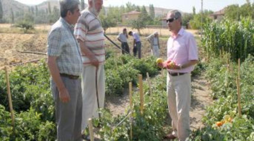 Organik Canlı G&uuml;bre Ile Y&uuml;zde 30&rsquo;un &Uuml;zerinde Organik &Uuml;r&uuml;n Elde Edildi