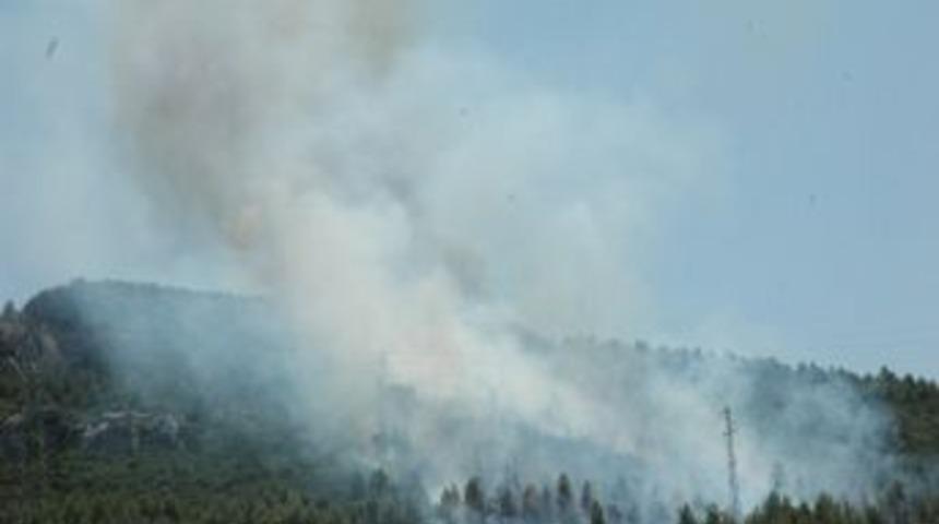 Bucak&rsquo;ta Orman Yangını