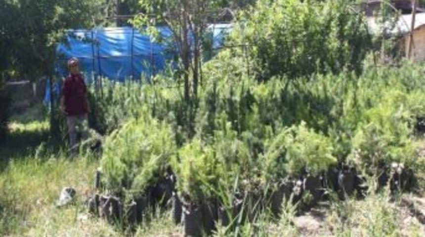 Kardeş Belediyeden &Ccedil;am Desteği