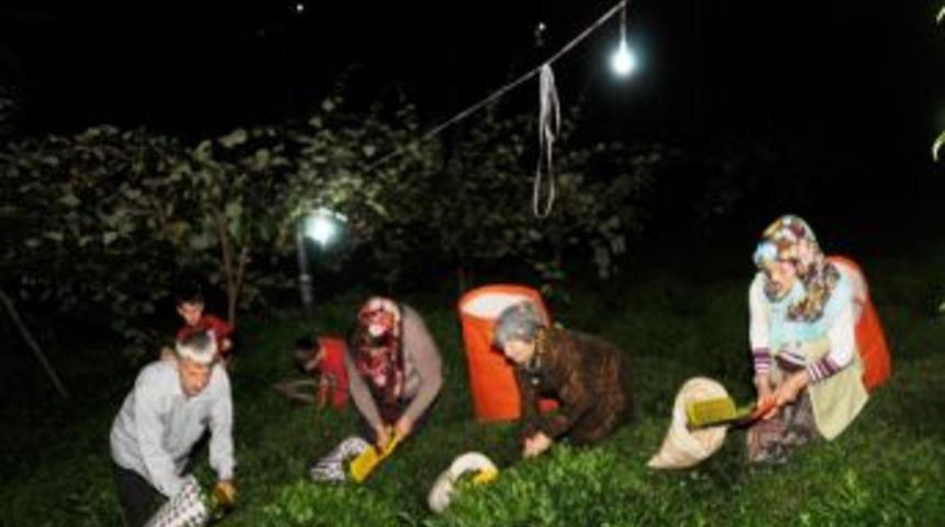 Ampulle Aydınlattıkları &Ccedil;ay Bah&ccedil;esinde Sahura Kadar &Ccedil;ay Topluyorlar