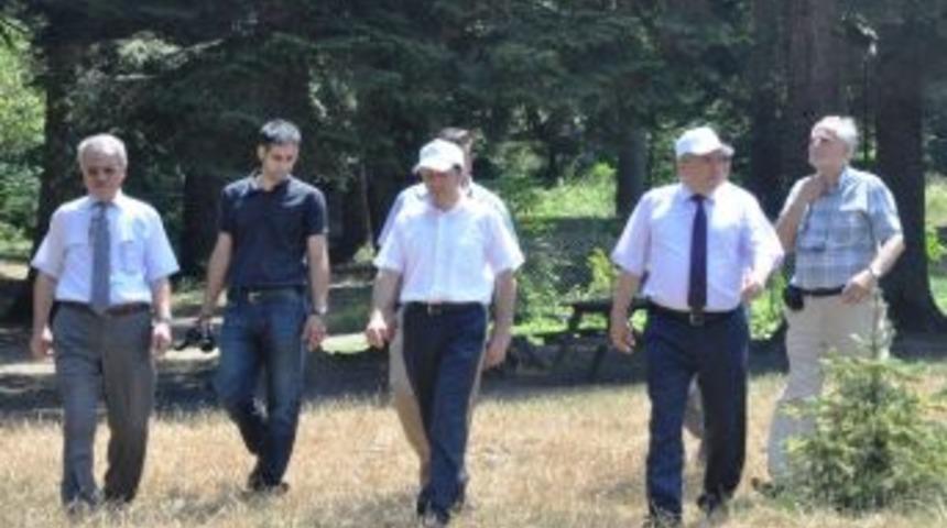 G&ouml;lc&uuml;k Tabiat Parkı İncelemeden Ge&ccedil;irildi