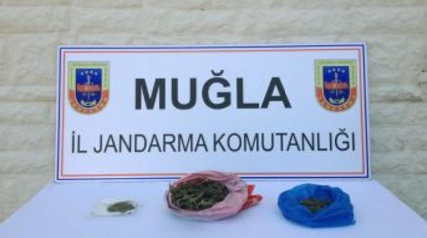 Muğla'da Jandarmadan Uyuşturucu Operasyonu