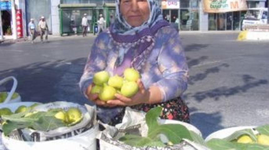 S&ouml;ke&rsquo;de Sezonun İlk İnciri Tezgaha D&uuml;şt&uuml;