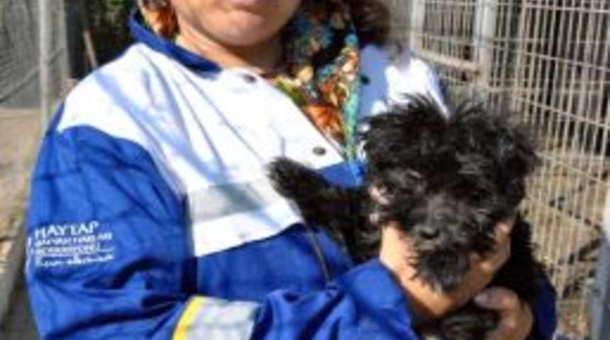 Haytap &Uuml;yeleri Salihli&rsquo;ye Geldi