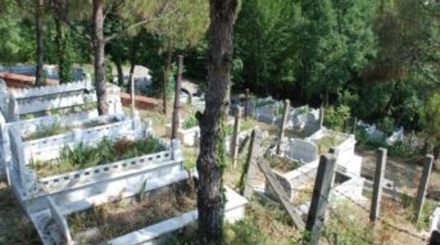 &Ccedil;aycuma Belediyesi Mezarlıkları Temizliyor