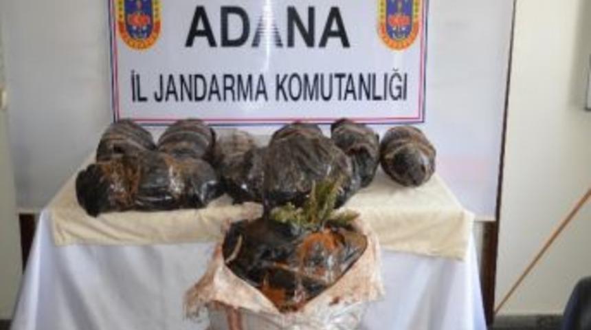 Yolcu Otob&uuml;s&uuml;nde 43 Kilo 810 Gram Esrar Ele Ge&ccedil;irildi