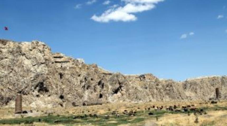 Eski Van Şehri Hayvan Otlağı Oldu