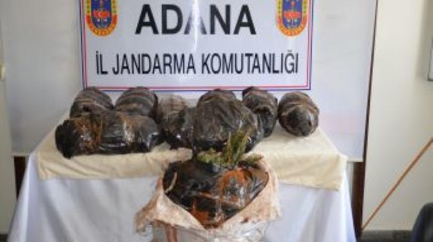 Yolcunun Valizinden Esrar &Ccedil;ıktı