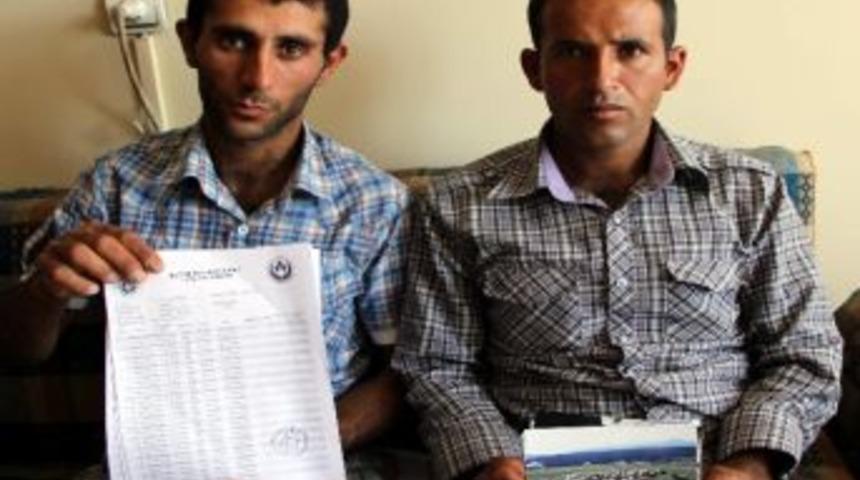 İran Askerleri, &Ccedil;obanları D&ouml;v&uuml;p 238 Koyunu &Ccedil;aldı