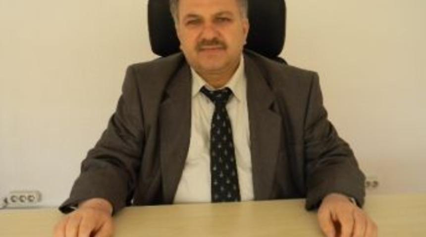 Bez Bebek Geri Geliyor Projesi