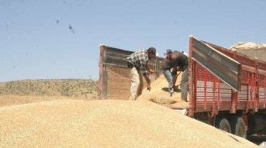 Yozgat Tmo Da Randevu Sistemine Ge&ccedil;ti