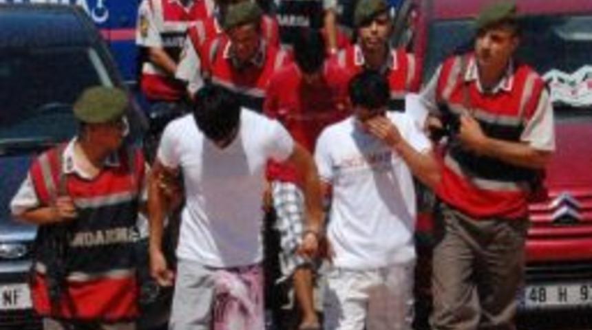 Turizm Fareleri Yakalandı