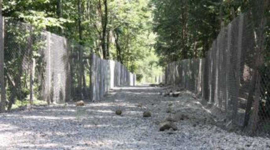 Sokak Hayvanları I&ccedil;in 150 Bin Metrekarelik Doğal Yaşam Alanı Oluşturuluyor