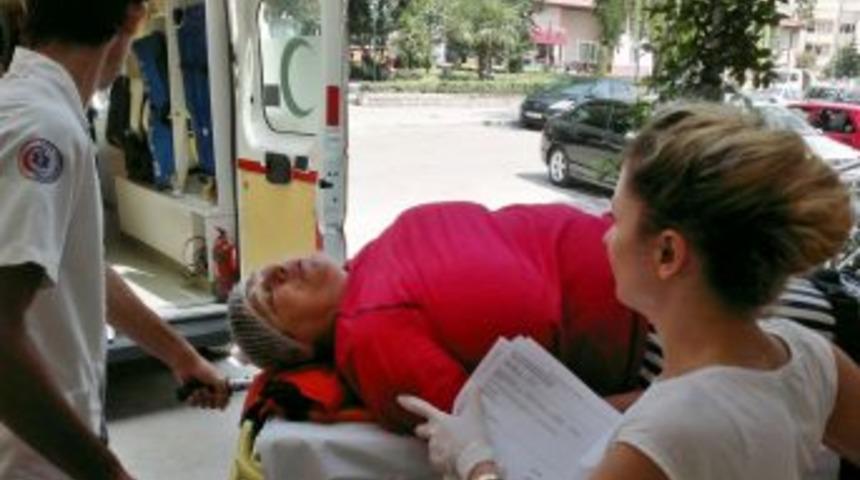 Ağa&ccedil;tan D&uuml;şen Kadın Yaralandı