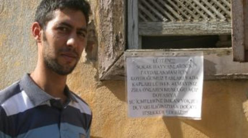 Hayvanseverin Su Kabı İsyanı