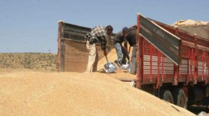 &Ccedil;ift&ccedil;iler Buğdayı TMO&rsquo;ya Randevu Alarak Satıyor