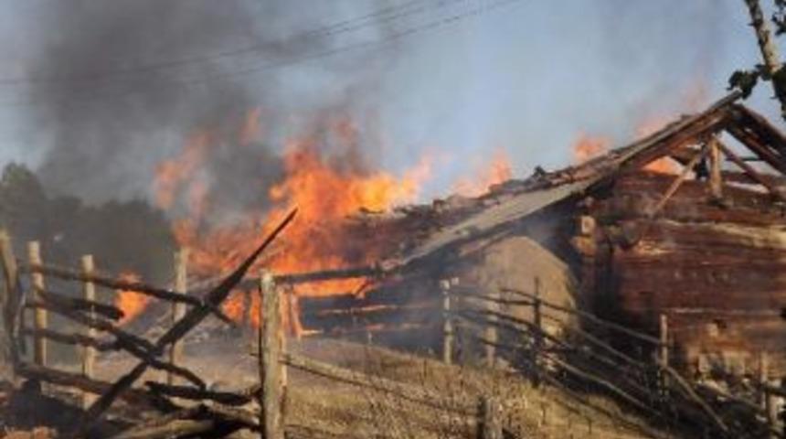 Samanlık Yangını Korkuttu