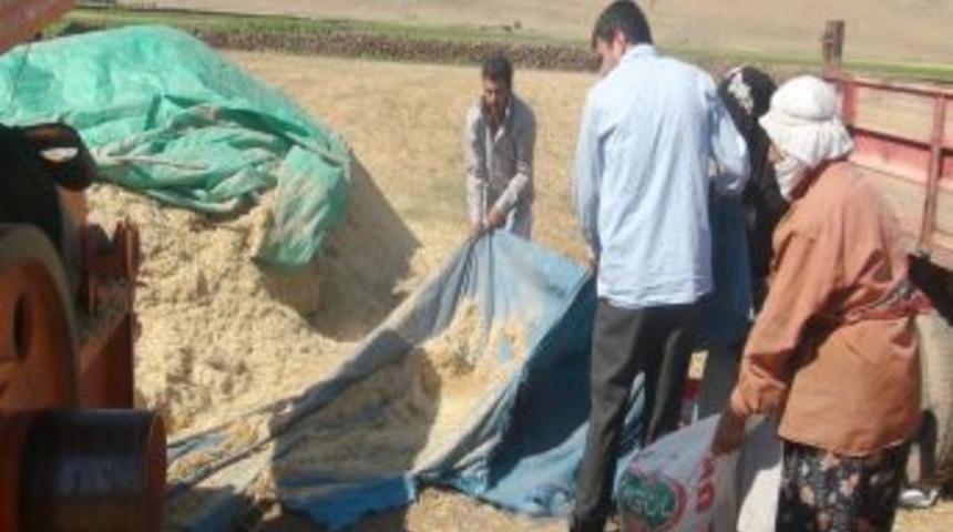 K&ouml;yl&uuml;ler Ramazan'da Hasada Devam Ediyor