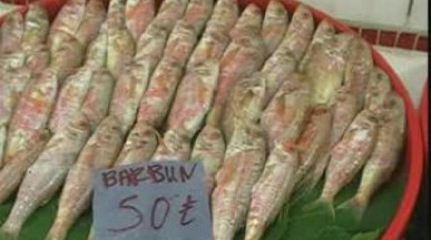 Balık Fiyatları El Yakıyor