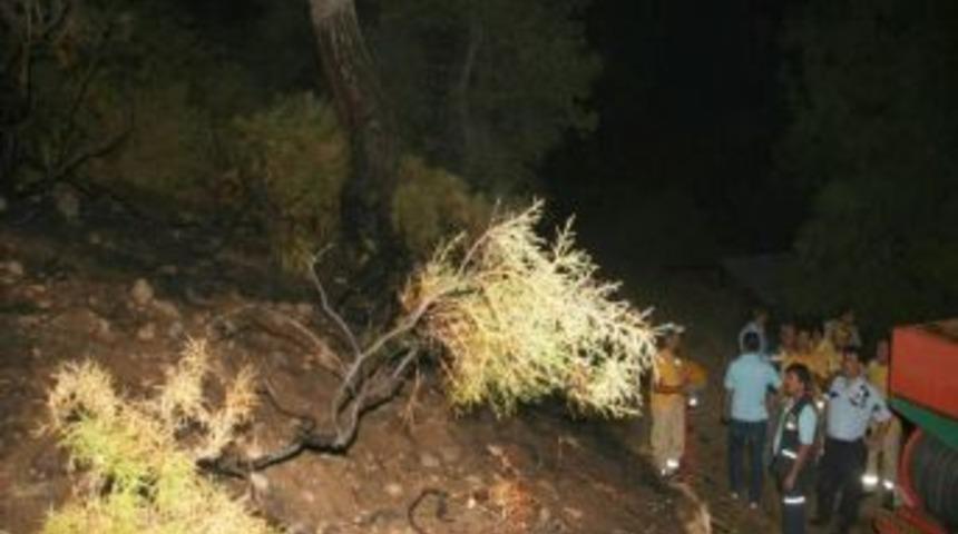 Ortaca&rsquo;da Orman Yangını