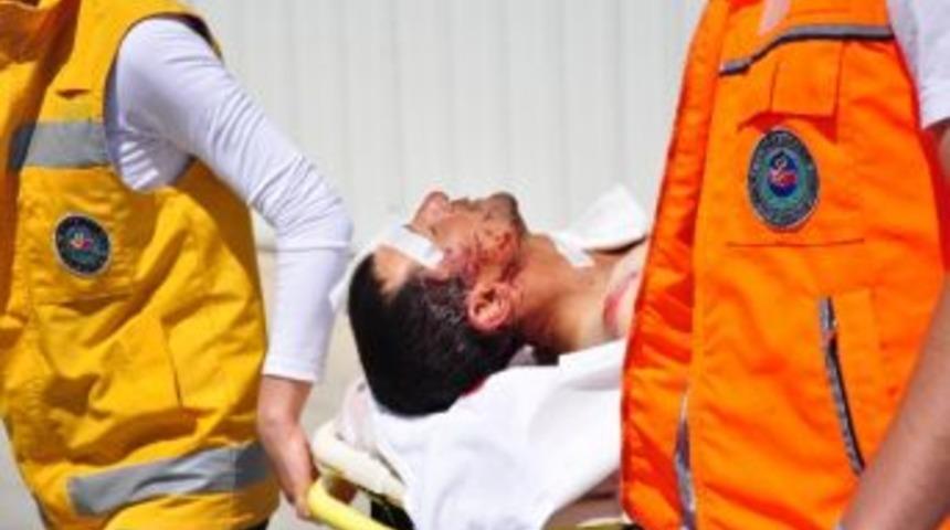 Ayı Beni &Ouml;ld&uuml; Sandı Bıraktı