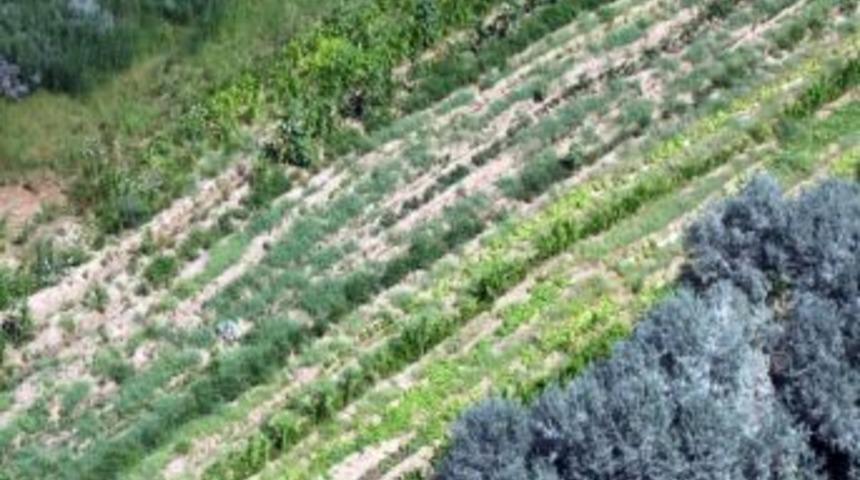 Kırşehir&rsquo;in Uyuşturucu Haritası &Ccedil;ıkarılıyor