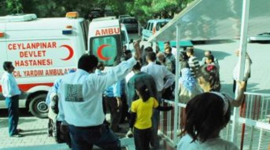 Ceylanpınar&rsquo;da Akrep Isırması