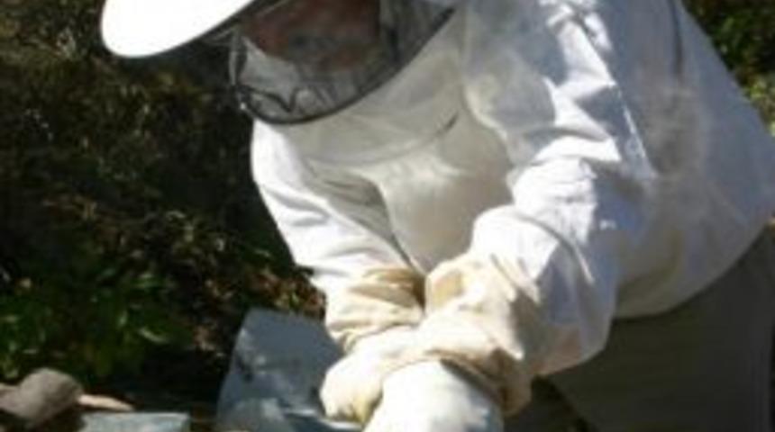 Hisarcık'ta Kuraklık Bal &Uuml;reticilerini Vurdu