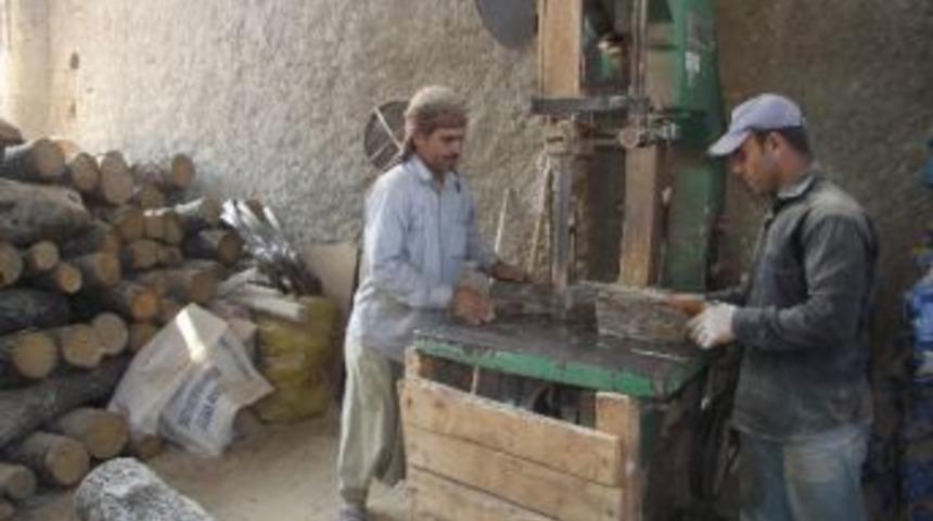 Odunlar Kuruyken Alınmalı