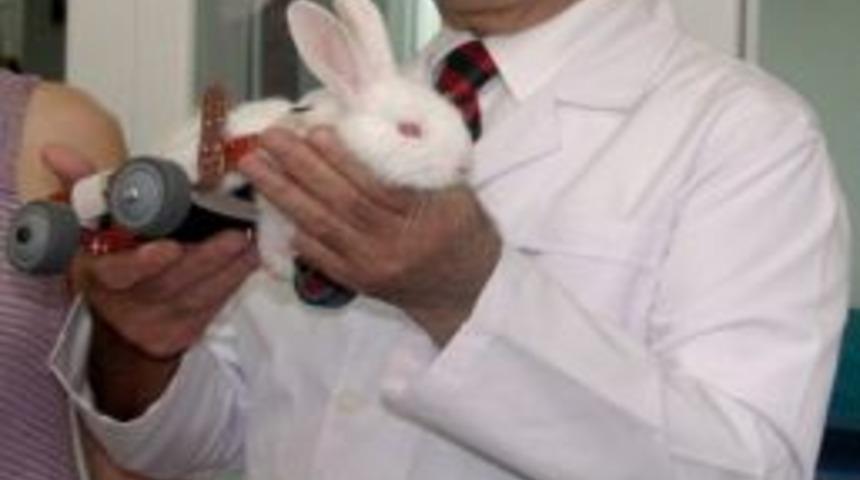 Arka İki Ayağı Fel&ccedil;li Olan Tavşana Ortez Takıldı