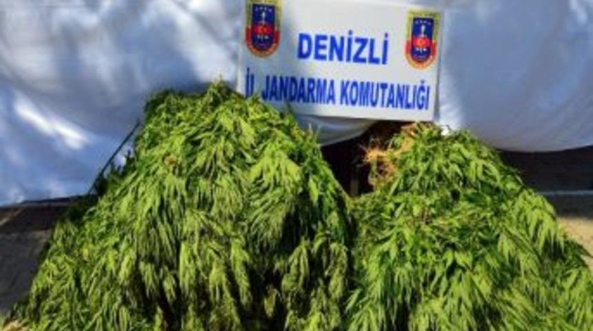 Denizli’de Uyuşturucu Operasyonu