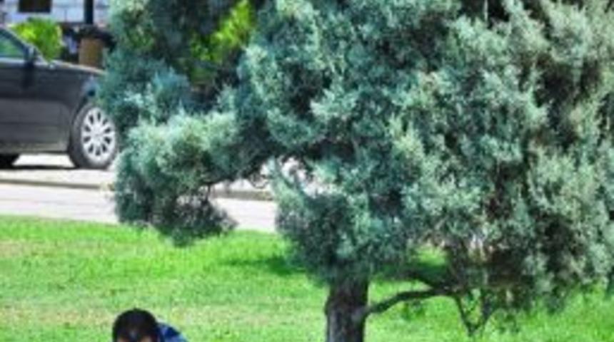 Sıcak Havada Vatandaşın İmdadına Ağa&ccedil;lar Yetişiyor